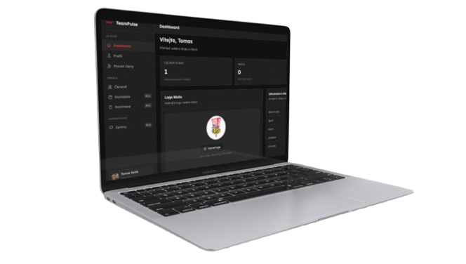 TeamPulse Mobile App